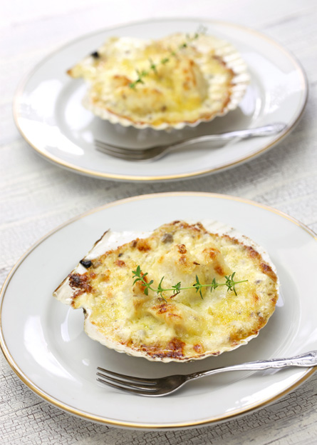 coquille_saint-jacques